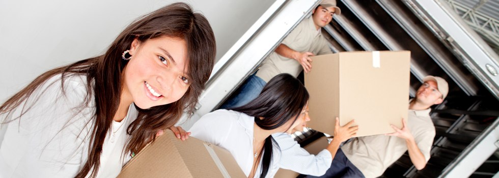 Professional Removalists Ninderry